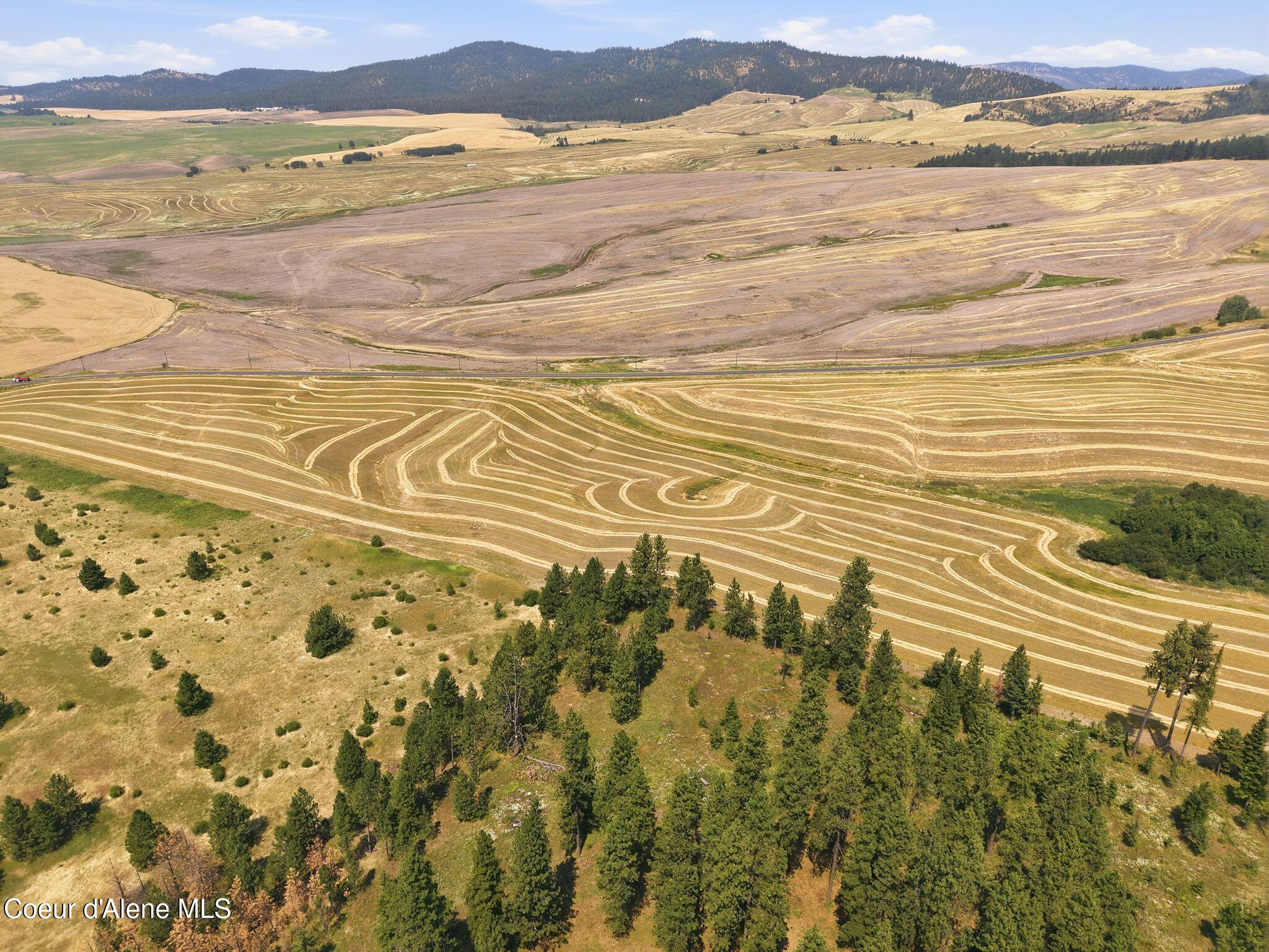 9.5-acres 9.5-acres Ranch Plummer, ID 83851 - Photo 22 of 43 9.5 Idaho Acres