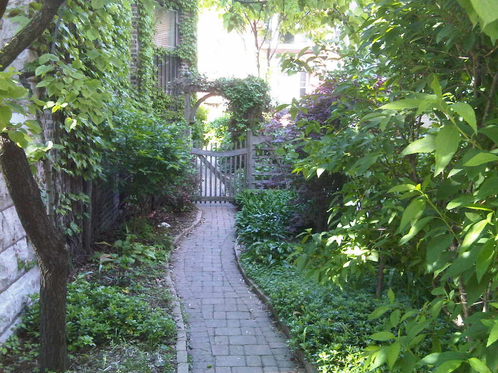 622 West Briar Place, Unit G Chicago, IL 60657 - Photo 15 of 19 a view of a pathway both side of yard