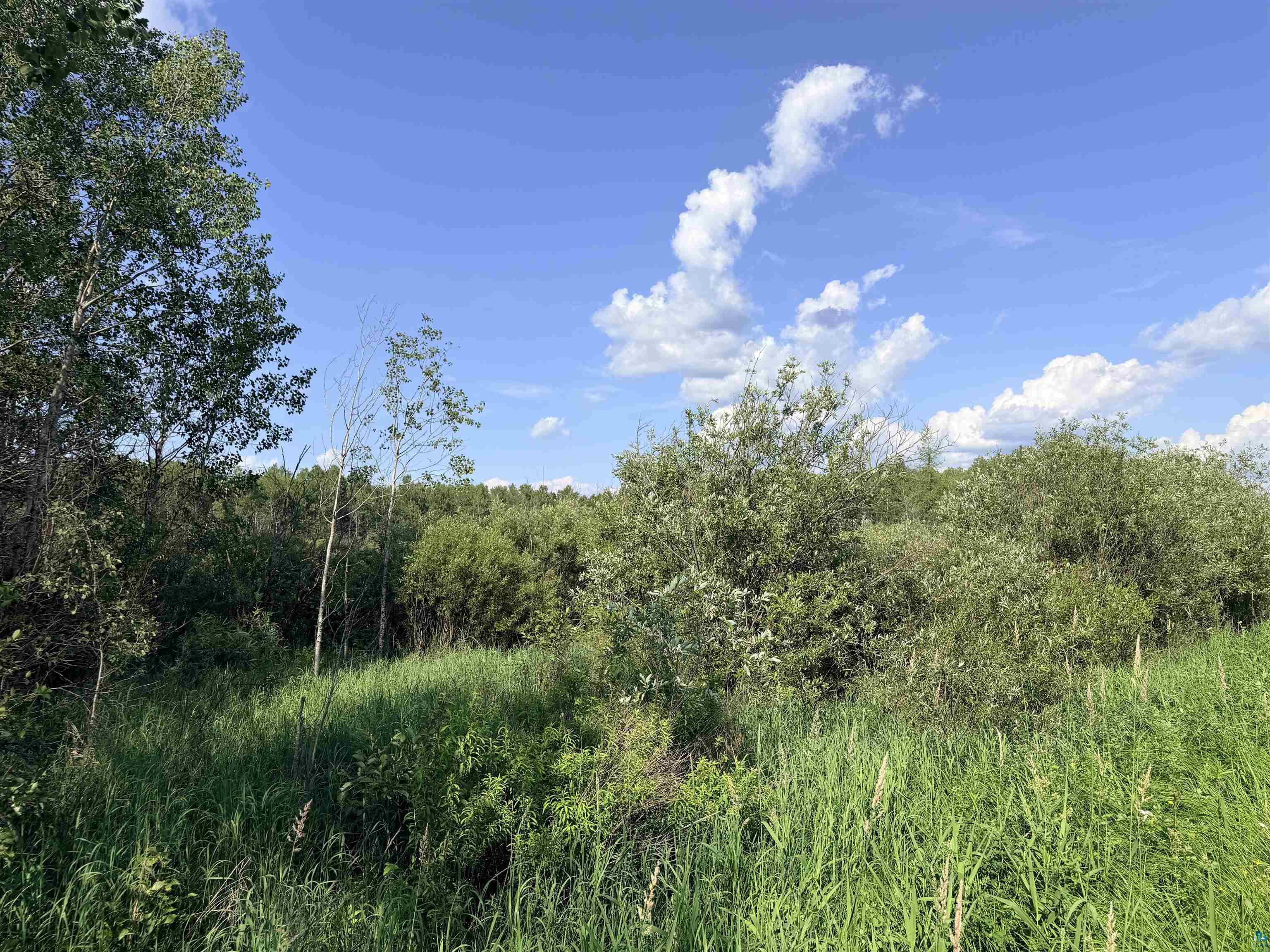 12-xxx Butterfield Road Hibbing, MN 55746 - Photo 10 of 12
