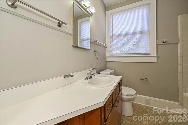 a bathroom with a sink toilet and vanity