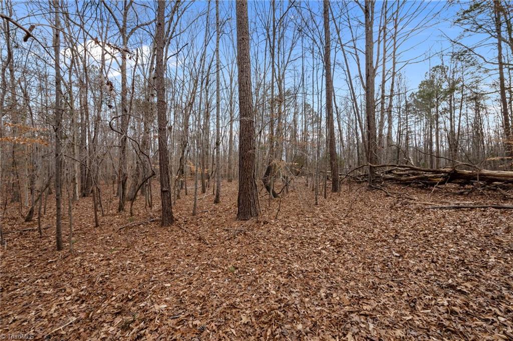 10.75-acres Neal's Store Road Roxboro, NC 27574 - Photo 6 of 18 Gallery Image 6