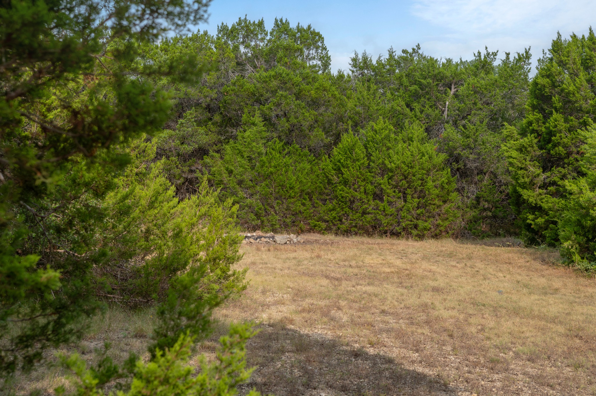 5021 Little Valley Road Leander, TX 78641 - Photo 8 of 32 Scenic grassy clearing surrounded by mature trees and native brush.
