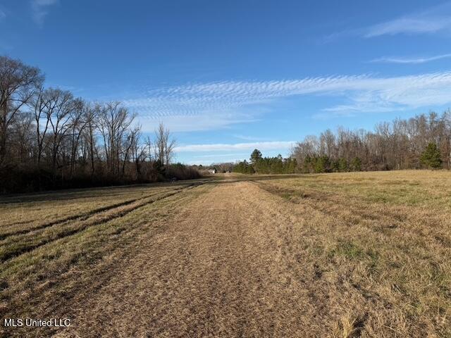 Raymond Road Jackson, MS 39212 - Photo 50 of 86 IMG_1054
