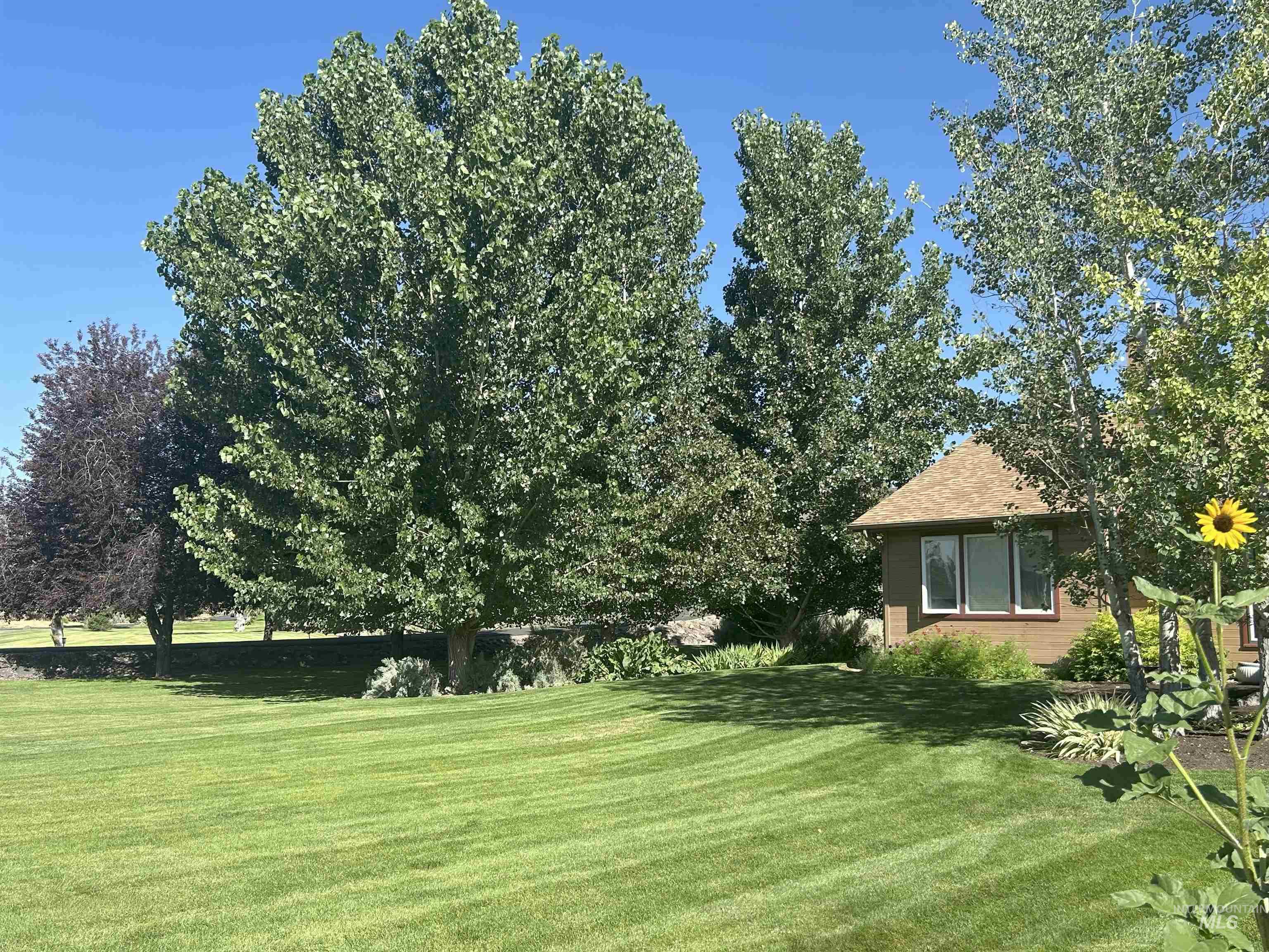 4124 North Meadow Ridge Circle Twin Falls, ID 83301 - Photo 24 of 31 View of green lawn
