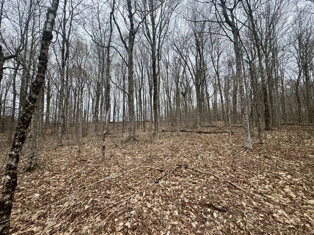 Lot 4 Shaver Hill Road Meridale, NY 13806 - Photo 23 of 44