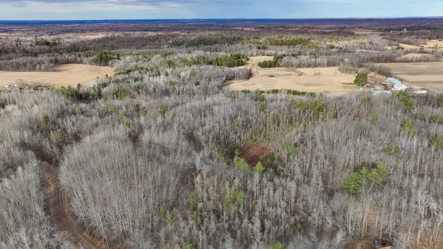 $39,900 | N2383 Loons Landing Road, Weyerhaeuser, WI 54895