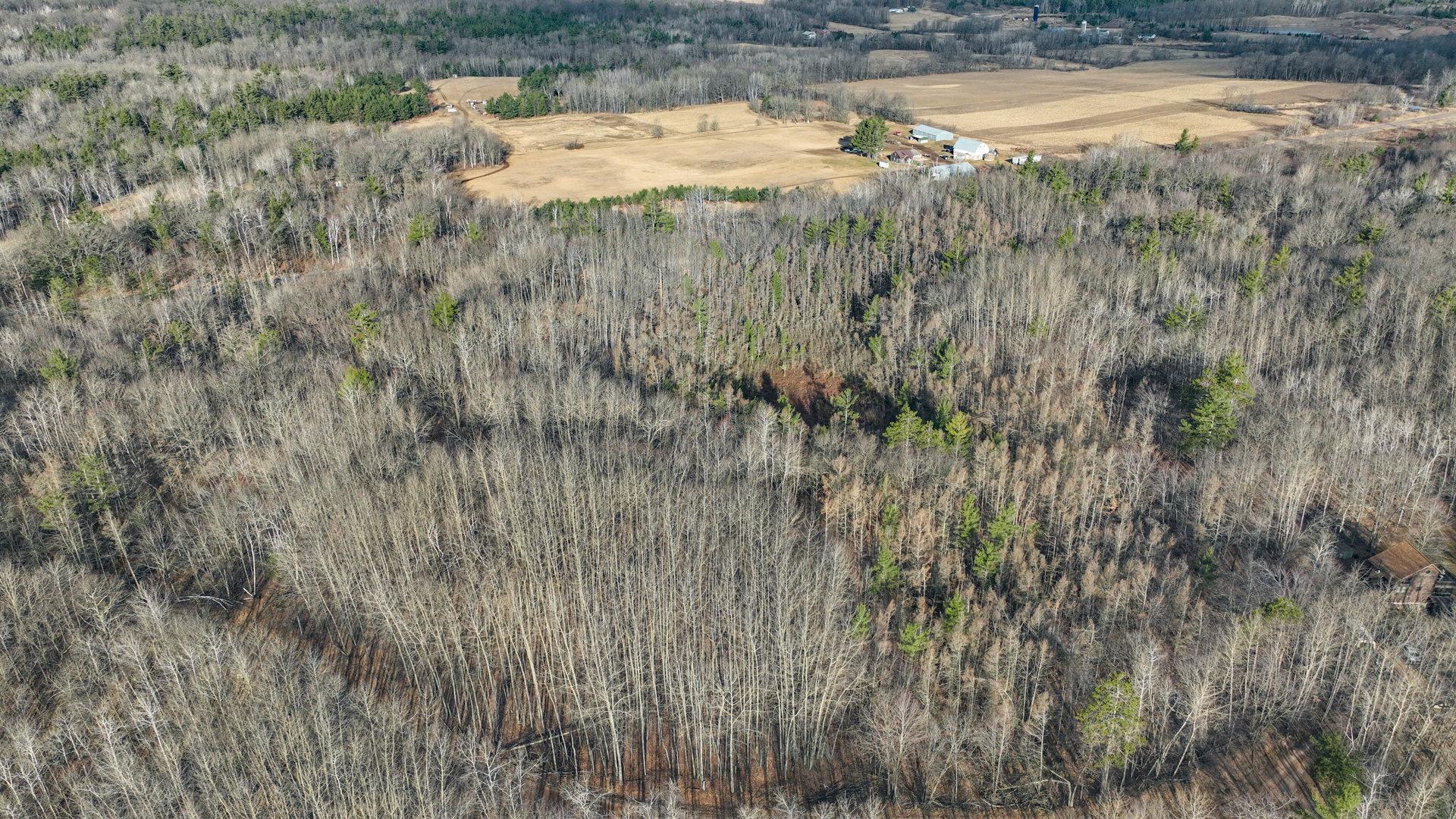 N2383 Loons Landing Road Weyerhaeuser, WI 54895 - Photo 13 of 17