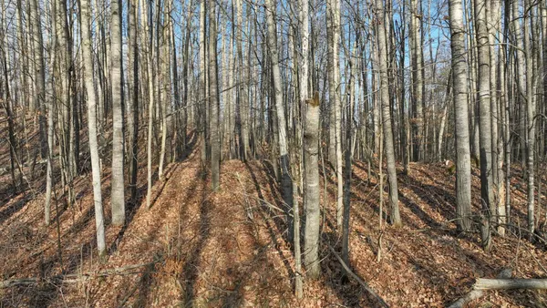 $34,900 | N2383 Loons Landing Road, Weyerhaeuser, WI 54895
