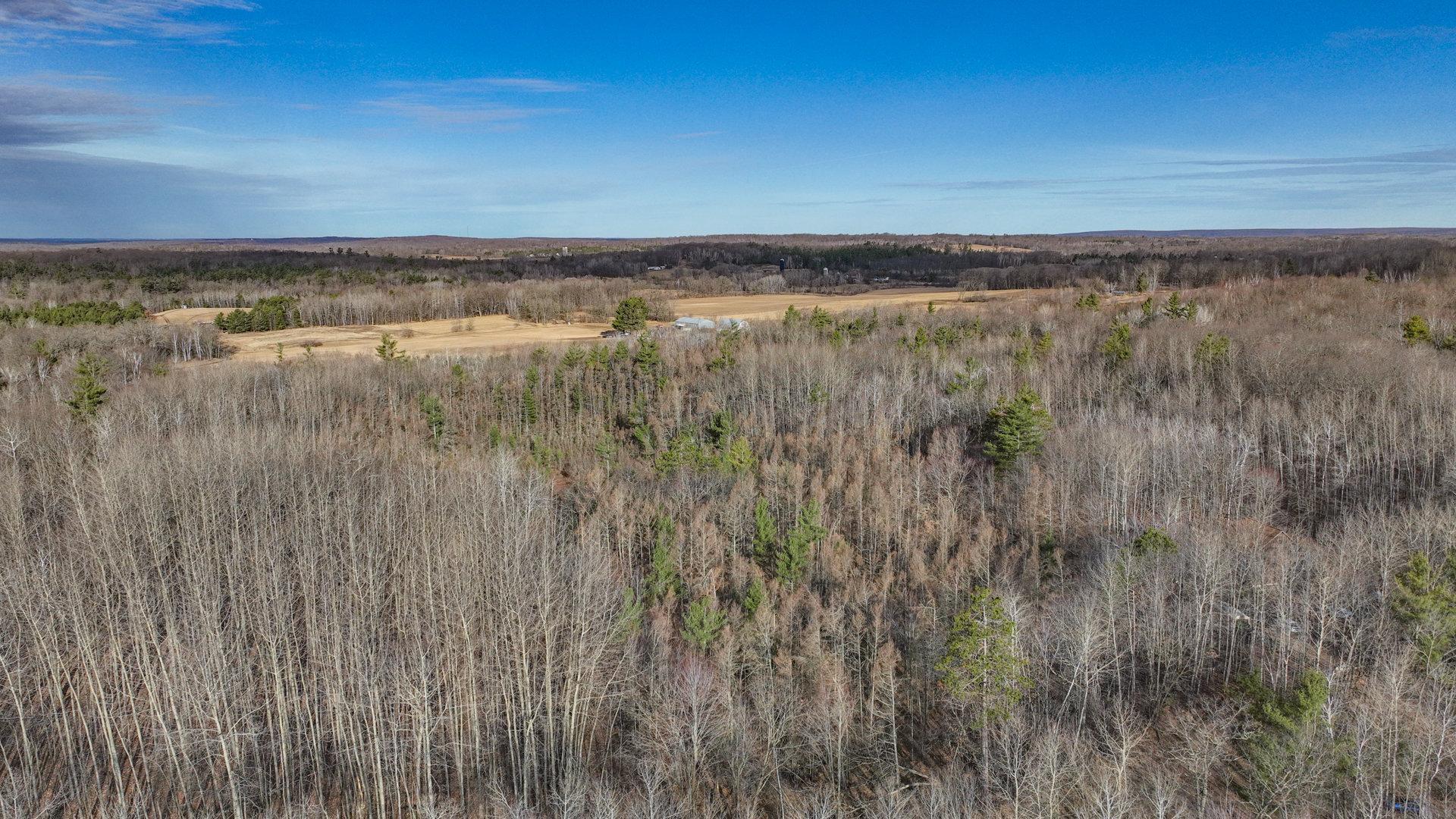 N2383 Loons Landing Road Weyerhaeuser, WI 54895 - Photo 4 of 17