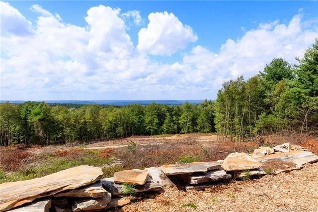 a view of a backyard with sitting area