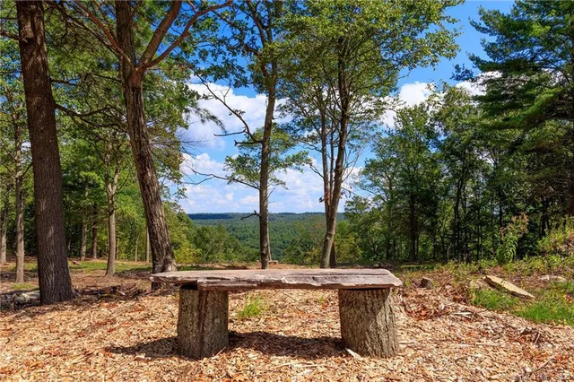 a park with trees and some trees