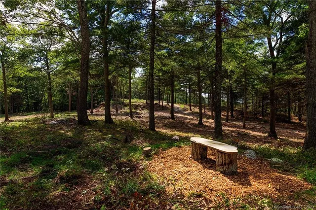a view of a yard with swimming pool