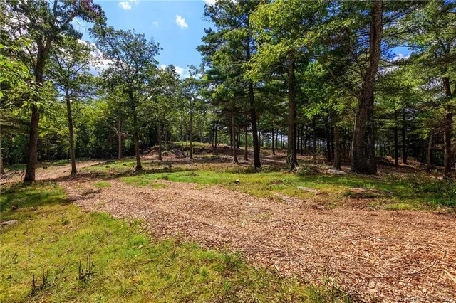 a view of yard with trees
