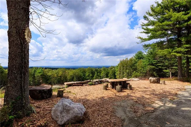 a view of a yard with plants and trees
