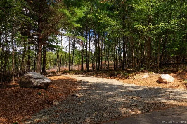 a view of a yard with large trees