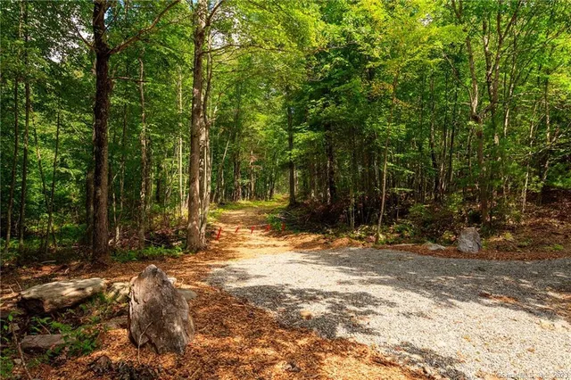 a view of yard with green space
