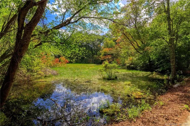 a view of a lush green outdoor space with a lake view