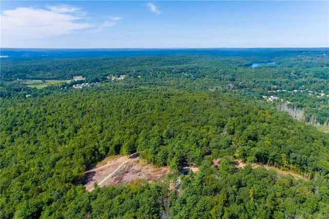 a view of a lush green outdoor space with a lake view