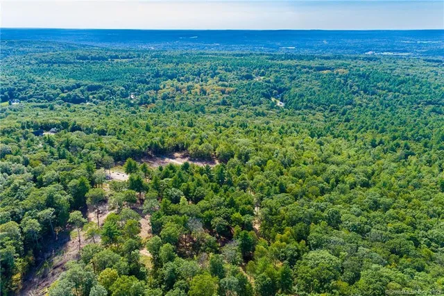 a view of a yard with swimming pool