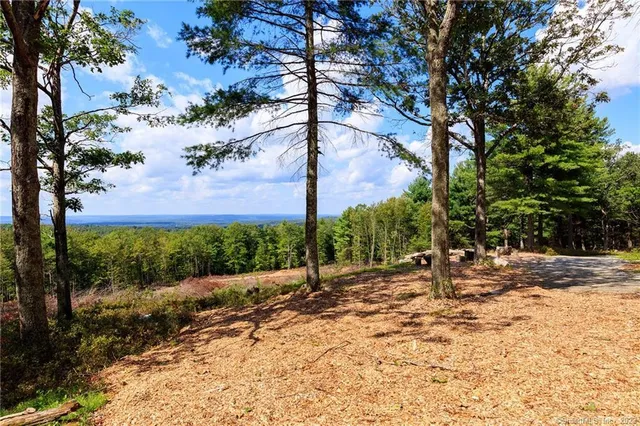 a view of a backyard of a house