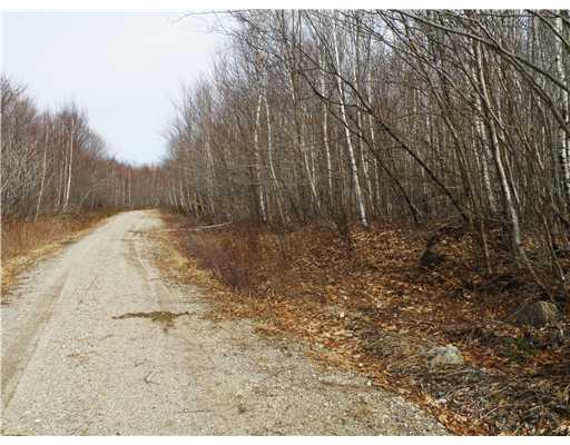 Lot 16 Eleanor Mae Road Deblois, ME 04622 - Photo 4 of 9 Exterior Front. Along the frontage...