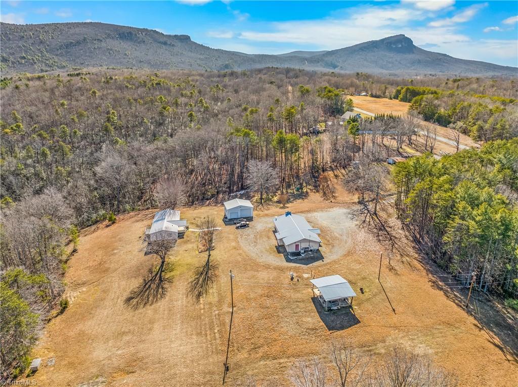 1050 Smurf Road Danbury, NC 27016 - Photo 4 of 25