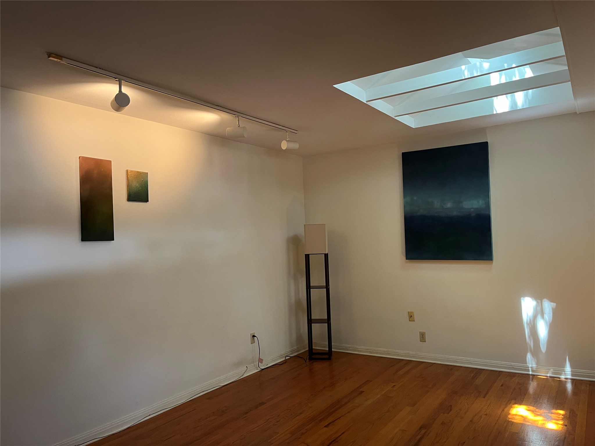 1211 Ruth Avenue Austin, TX 78757 - Photo 14 of 29 Skylights in living room