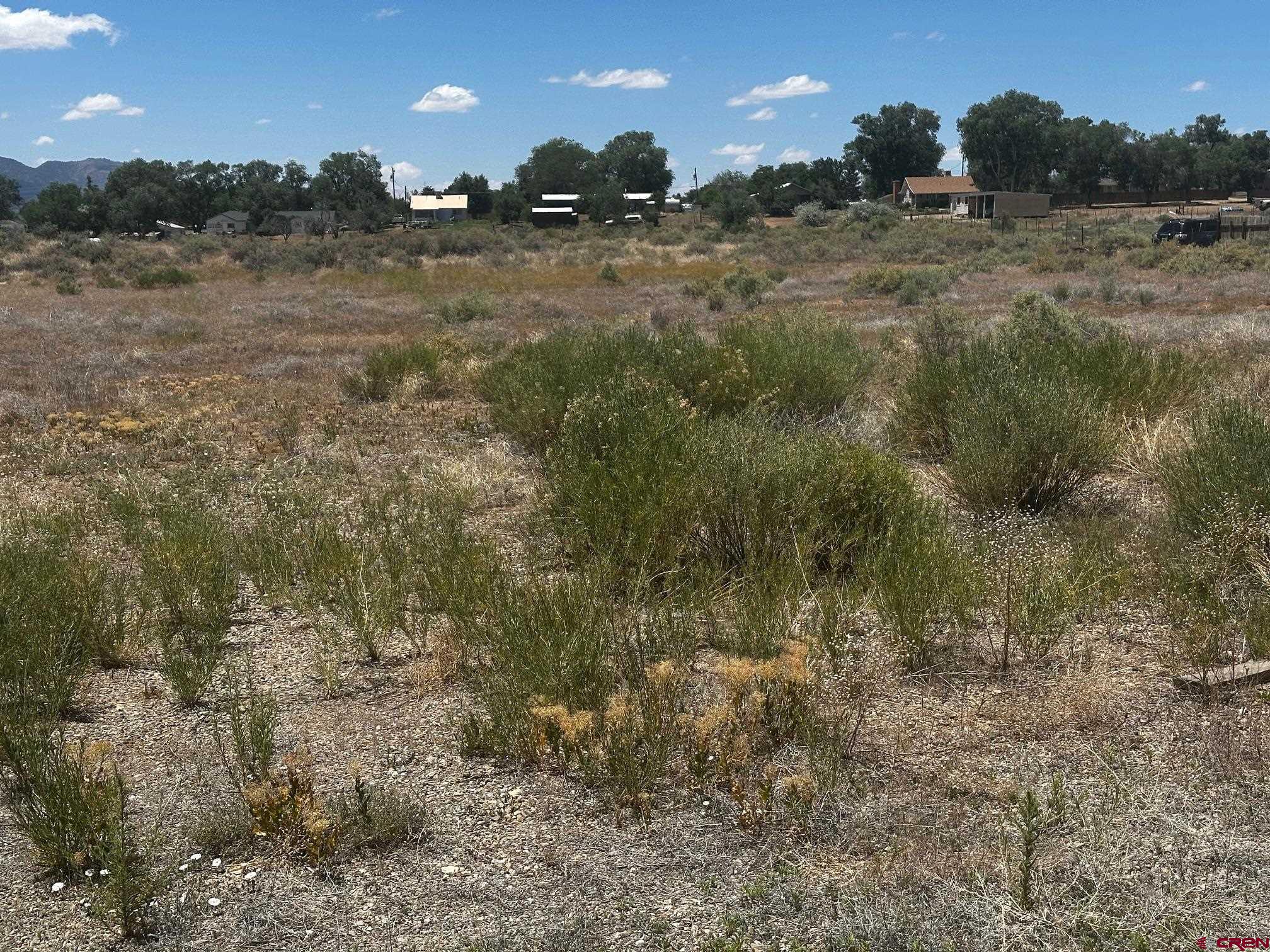 Tbd South Chestnut Street Cortez, CO 81321 - Photo 2 of 7 a view of a yard with a tree