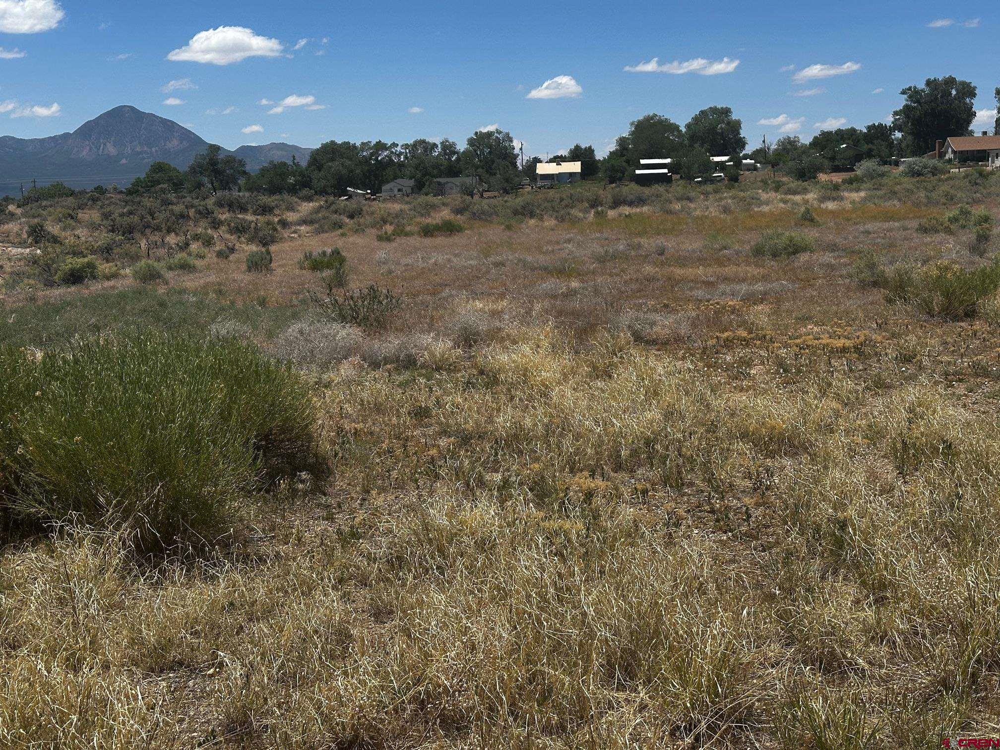 Tbd South Chestnut Street Cortez, CO 81321 - Photo 6 of 7 a view of a yard