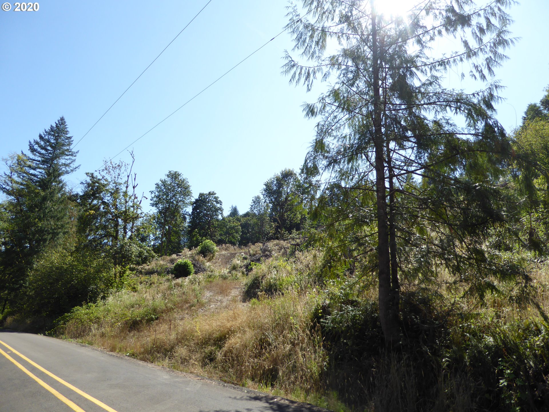 0 South Buckner Creek Road Mulino, OR 97042 - Photo 1 of 8 Gallery Image 1