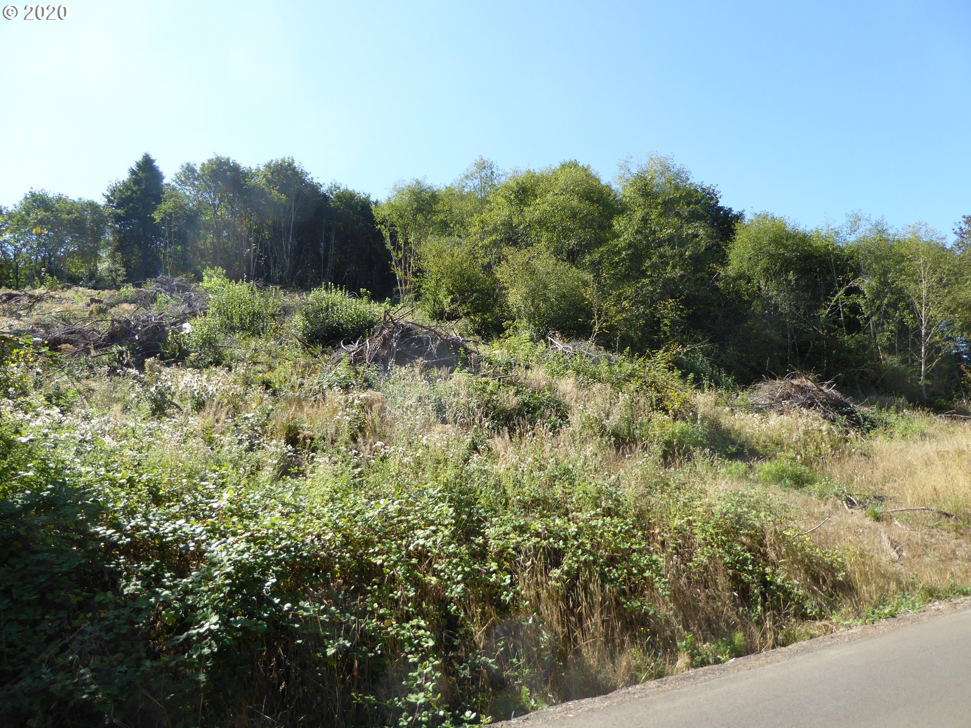 0 South Buckner Creek Road Mulino, OR 97042 - Photo 2 of 8 Gallery Image 2