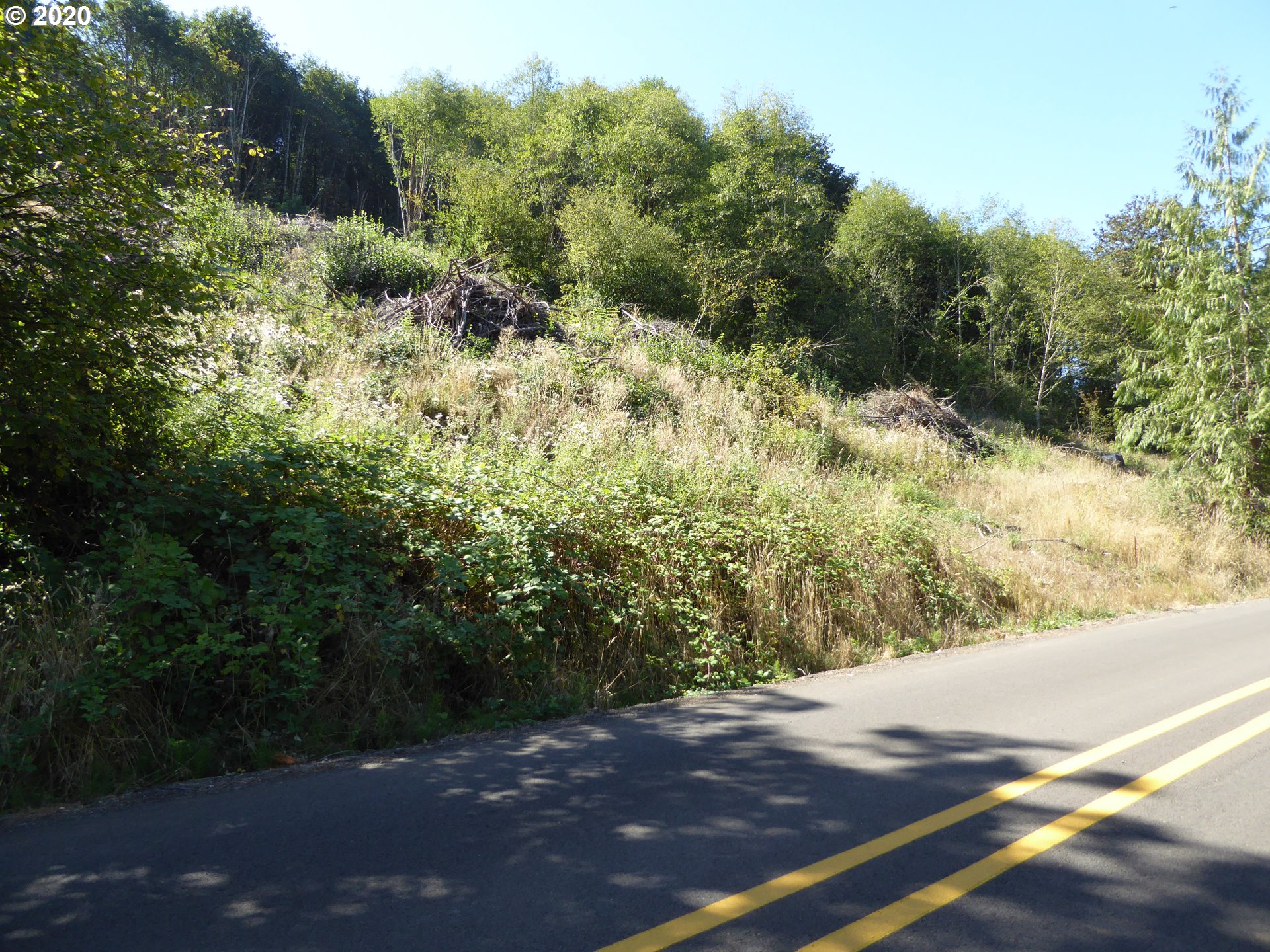 0 South Buckner Creek Road Mulino, OR 97042 - Photo 3 of 8 Gallery Image 3