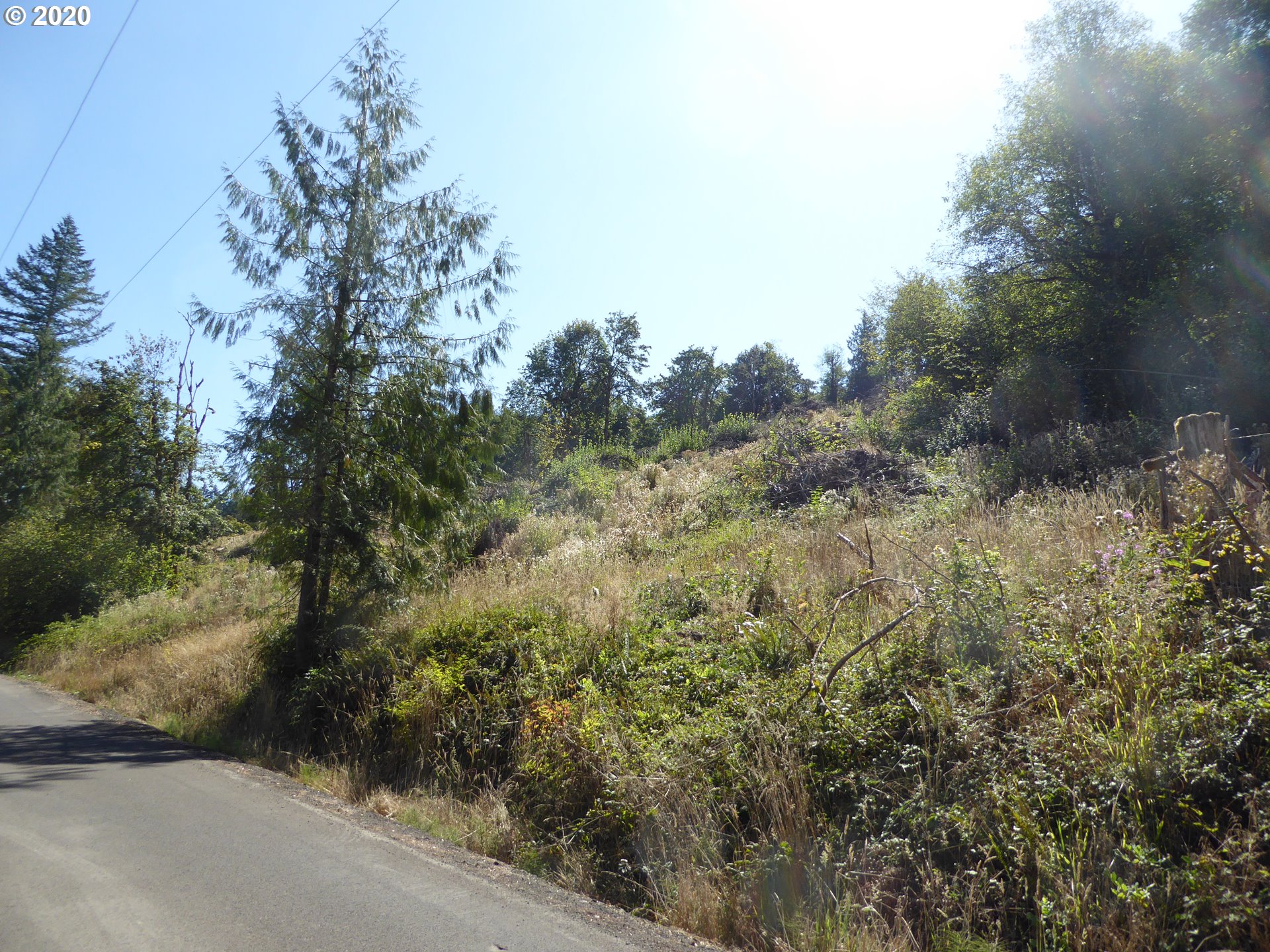 0 South Buckner Creek Road Mulino, OR 97042 - Photo 4 of 8 Gallery Image 4