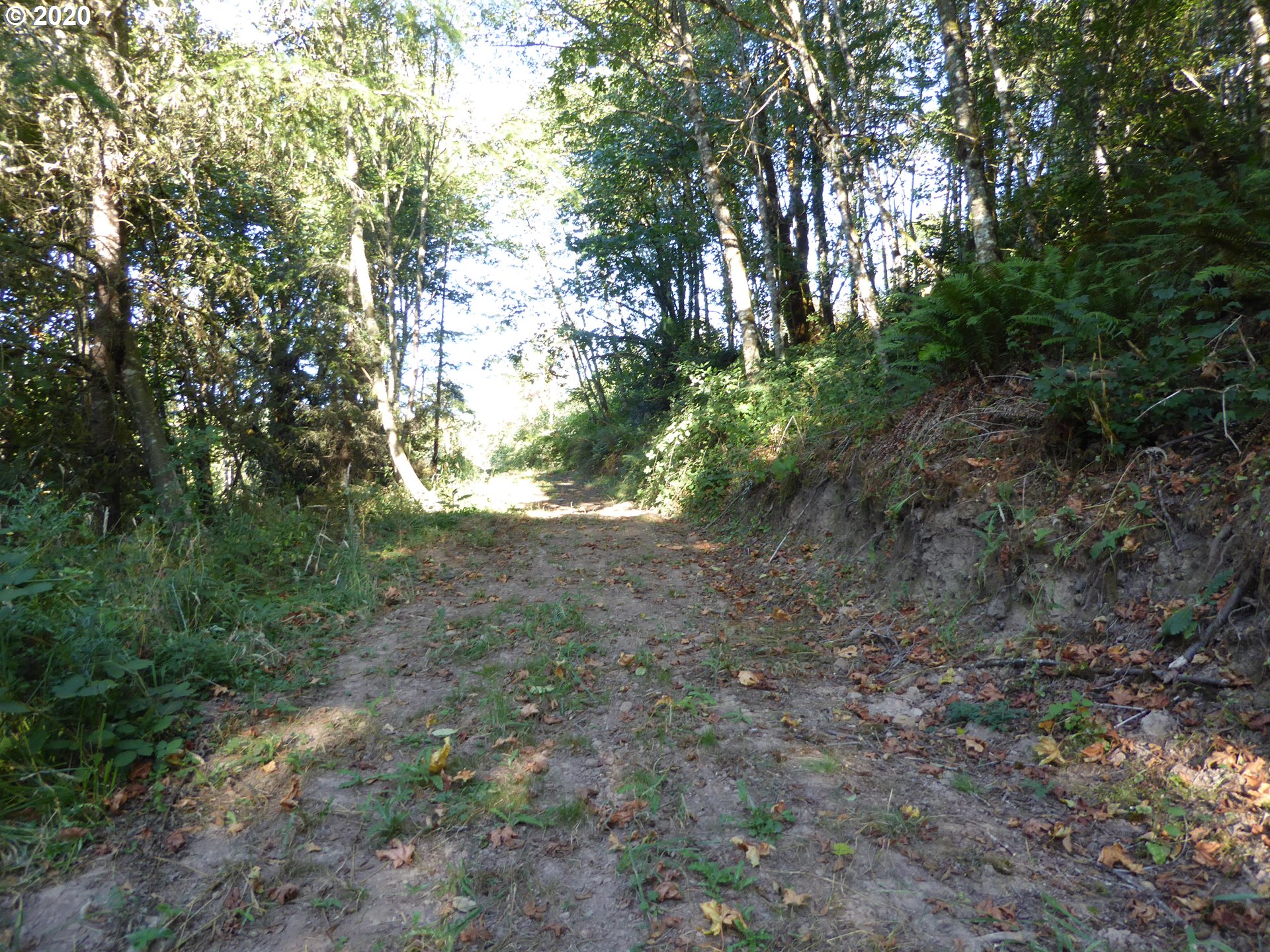 0 South Buckner Creek Road Mulino, OR 97042 - Photo 6 of 8 Gallery Image 6