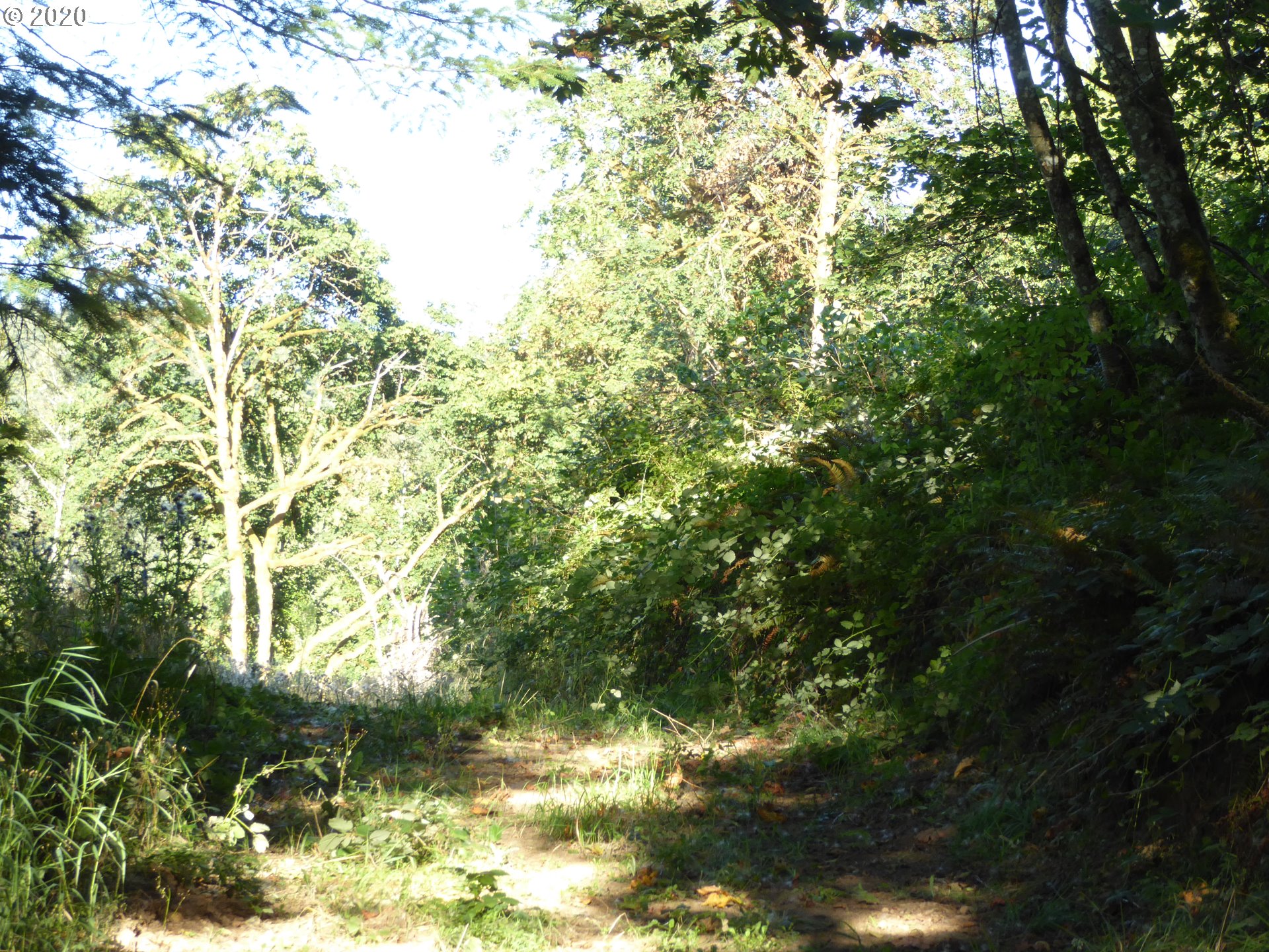 0 South Buckner Creek Road Mulino, OR 97042 - Photo 7 of 8 Gallery Image 7