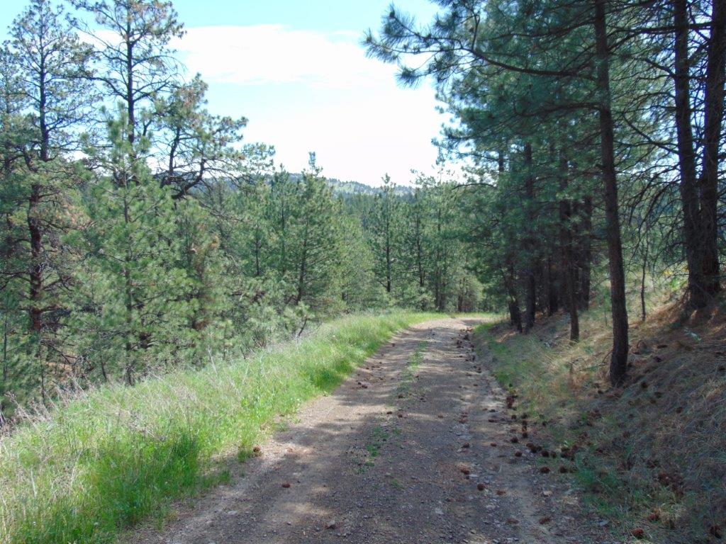 19 Lookout Lane Cascade, MT 59421 - Photo 8 of 30 Gallery Image 8