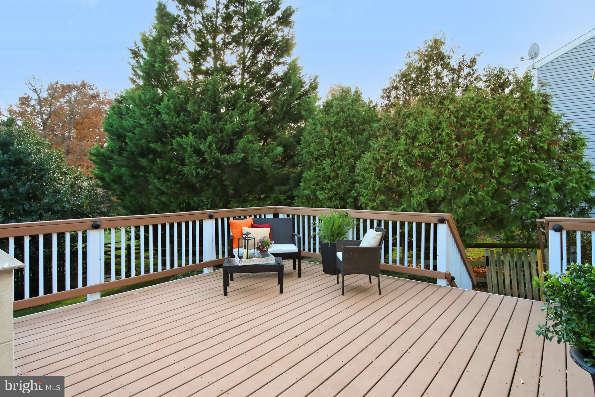 12567 Rock Ridge Road Herndon, VA 20170 - Photo 20 of 50 Check out those mature Trees!!!!