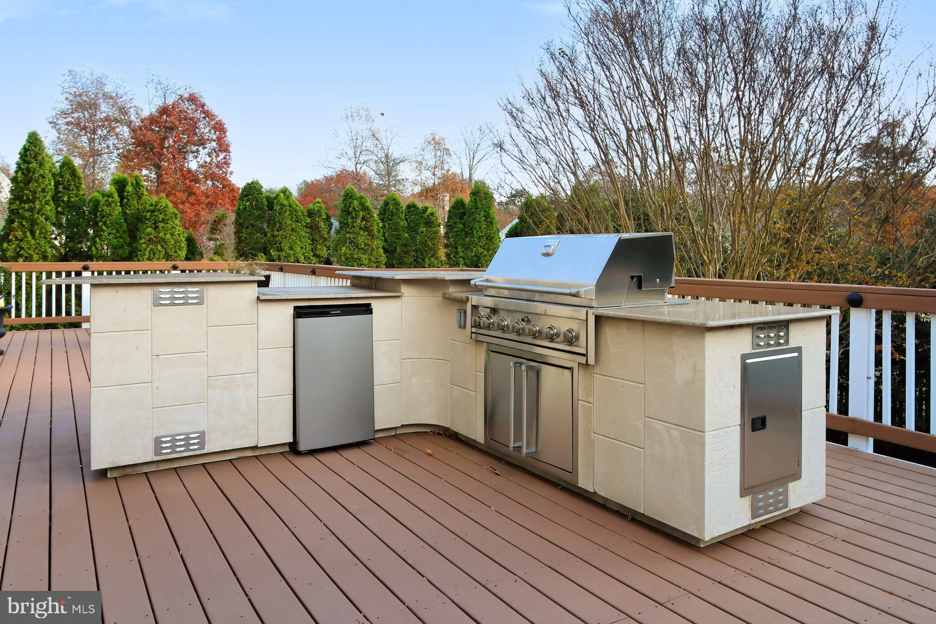 12567 Rock Ridge Road Herndon, VA 20170 - Photo 21 of 50 Custom Grilling Station
