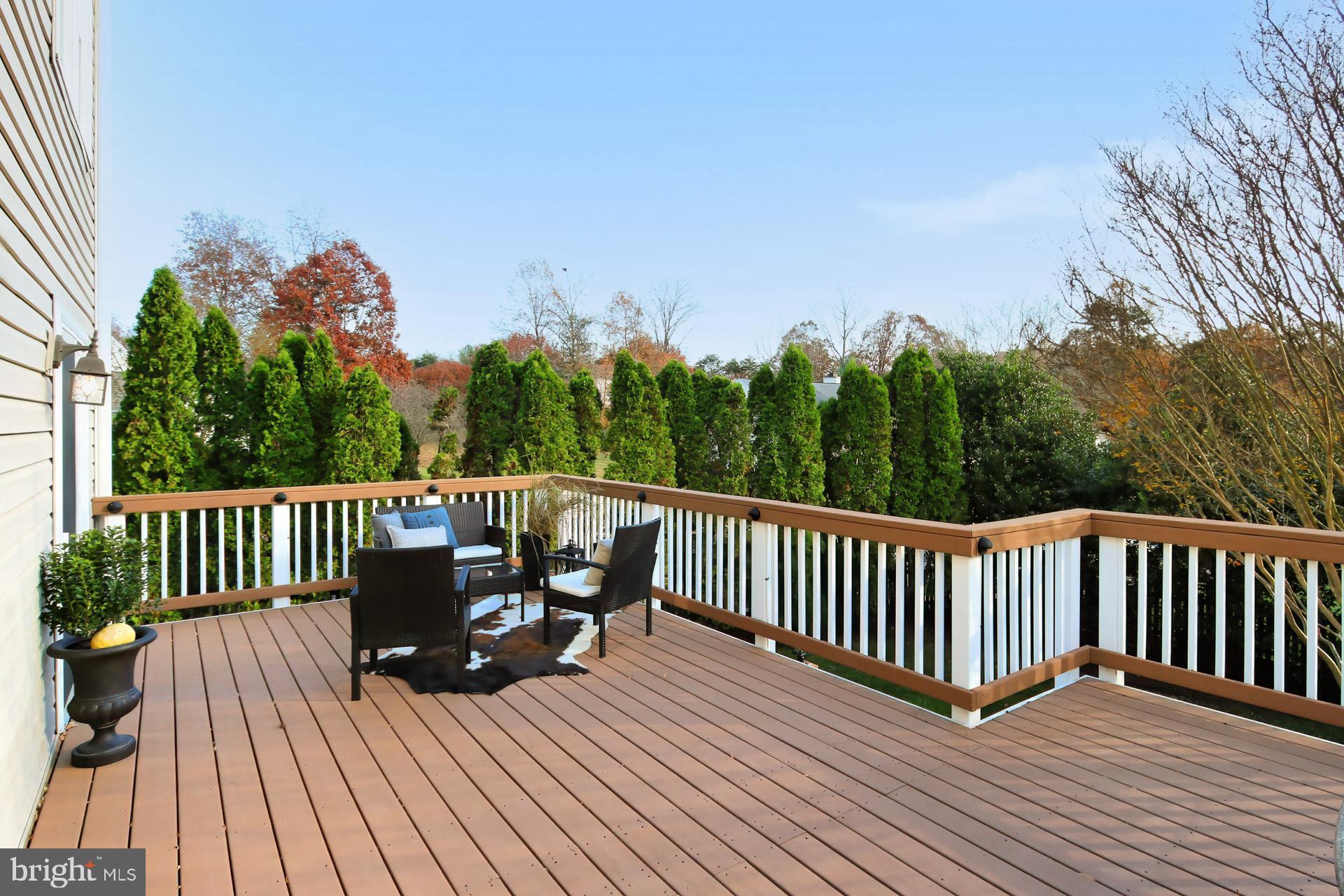 12567 Rock Ridge Road Herndon, VA 20170 - Photo 10 of 50 Your own private Oasis