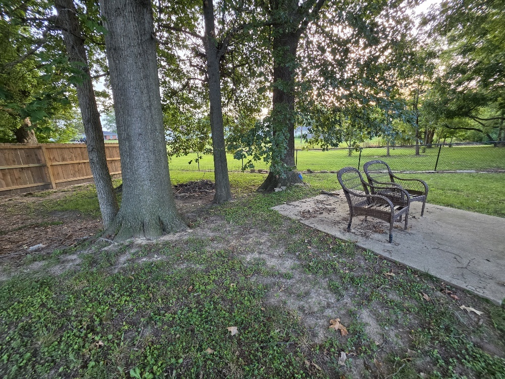 534 Tar Spring Drive Carmi, IL 62821 - Photo 43 of 44 Gallery Image 43