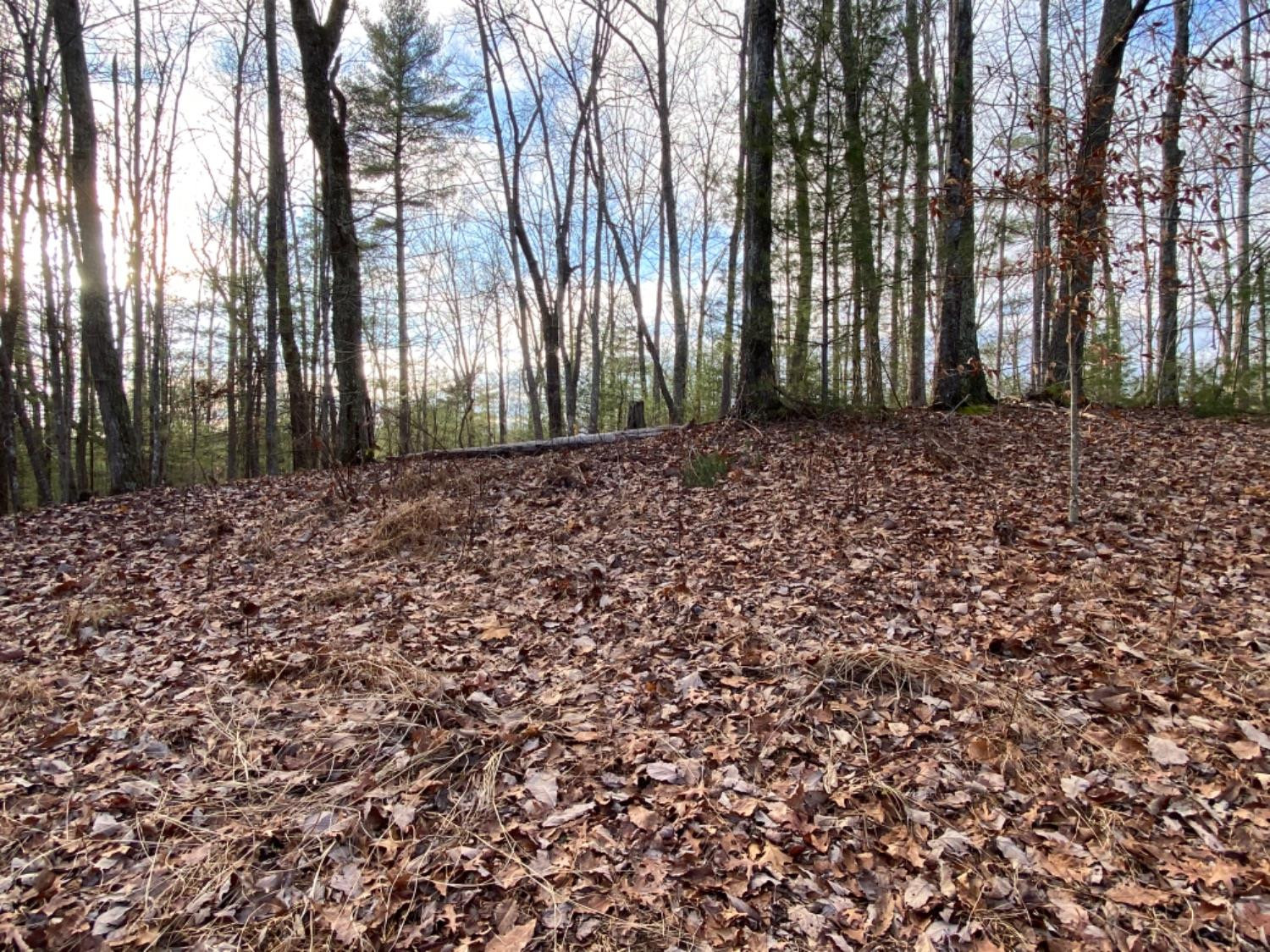 100 Eagle Ridge Zoe, KY 41397 - Photo 7 of 10 Photo 7
