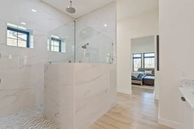 a bed room with a bed and a walk in closet