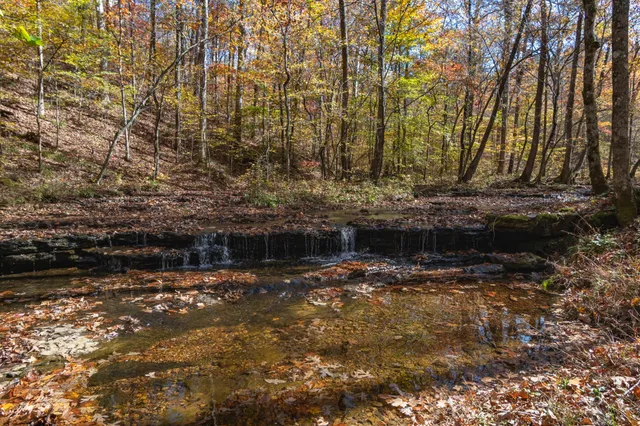 a view of a livingroom with furniture hardwood floor a ceiling fan and windows