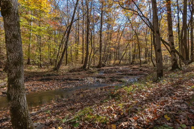 $3,500,000 | 202 Ravenridge Drive, Summertown, TN 38483