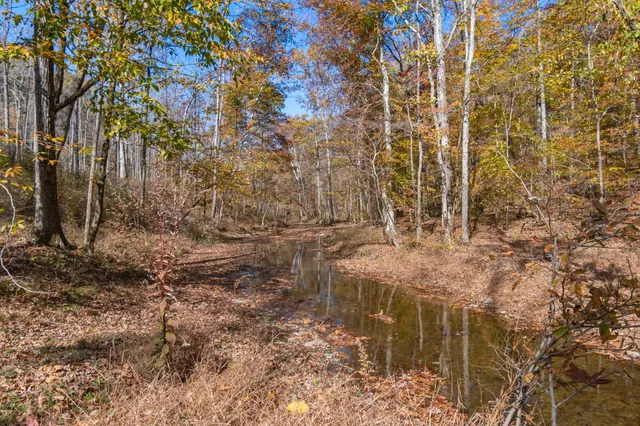 $3,500,000 | 202 Ravenridge Drive, Summertown, TN 38483