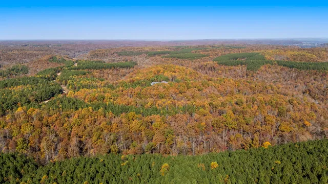 $3,500,000 | 202 Ravenridge Drive, Summertown, TN 38483