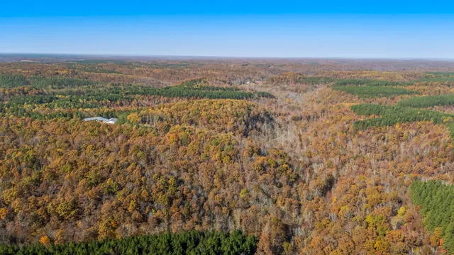 $3,500,000 | 202 Ravenridge Drive, Summertown, TN 38483