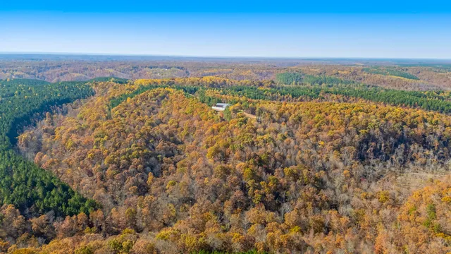 $3,500,000 | 202 Ravenridge Drive, Summertown, TN 38483