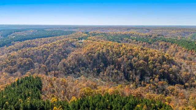 $3,500,000 | 202 Ravenridge Drive, Summertown, TN 38483