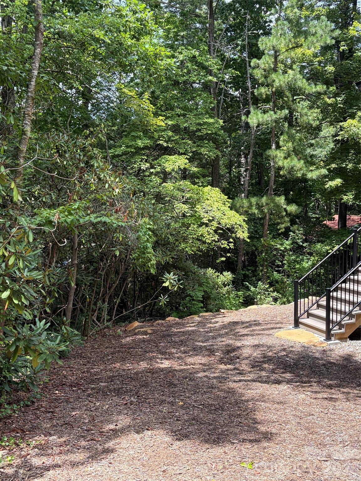 78 Tupper Road Black Mountain, NC 28711 - Photo 44 of 45 Gallery Image 44